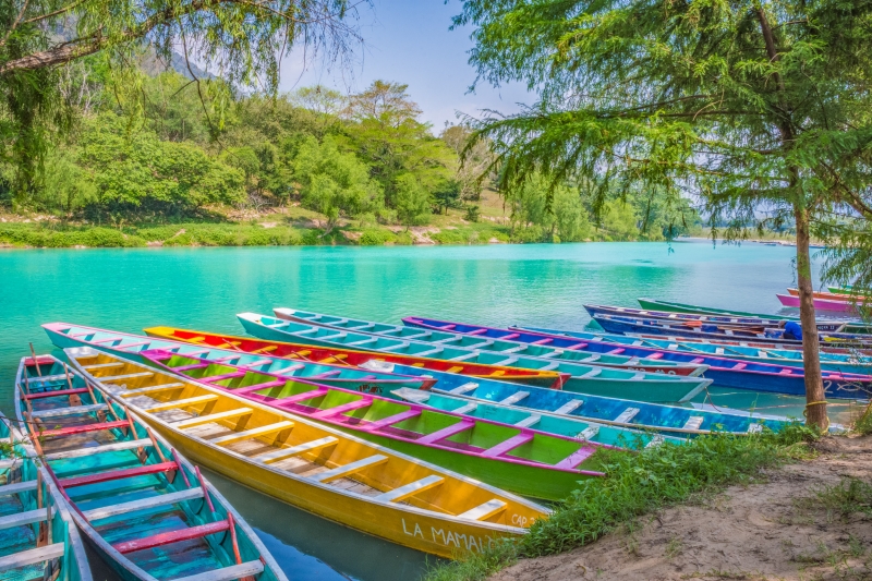 Pangas de Tamul