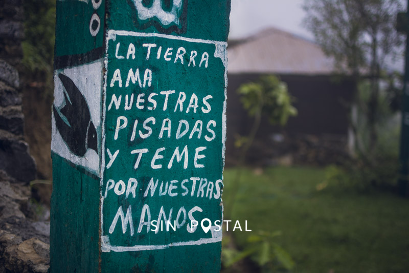 SotanoGolondrinasSinPostal-10