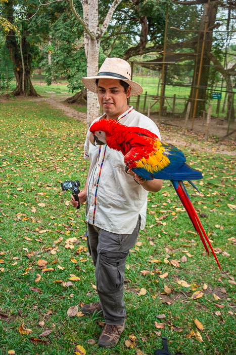 Guacamayas-8