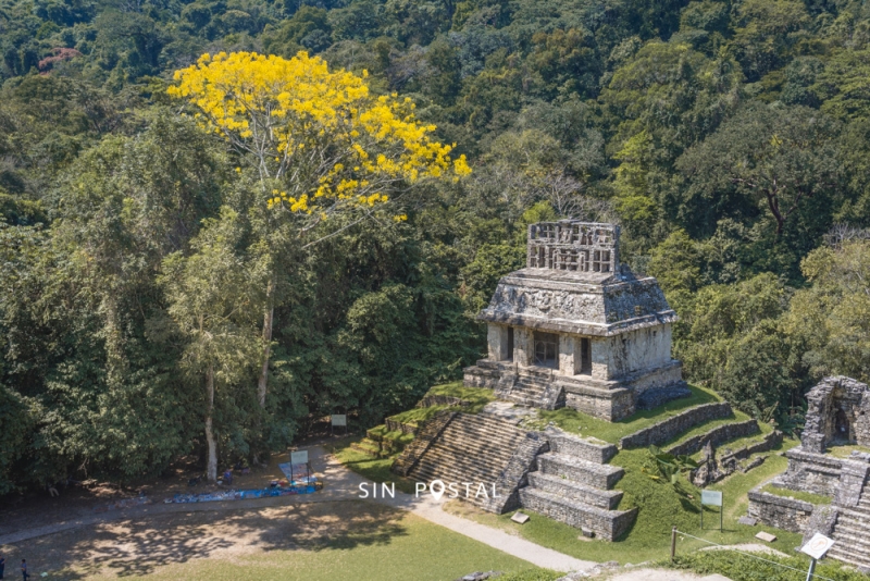 Palenque-SinPostal-24