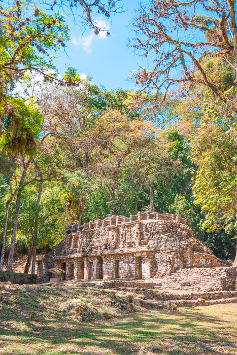 Yaxchilan-4
