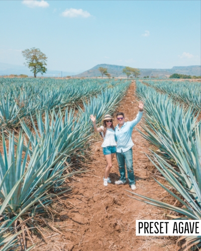 Preset Agave Despues