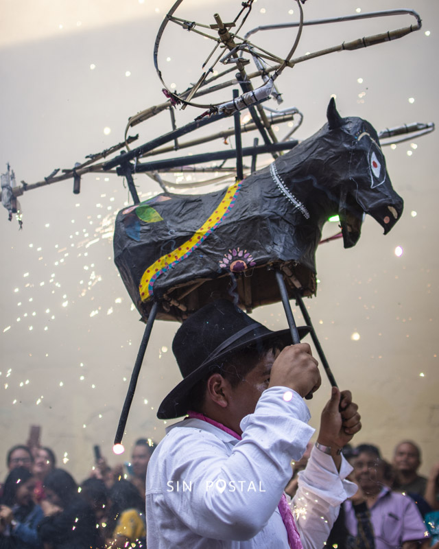 Torito-1