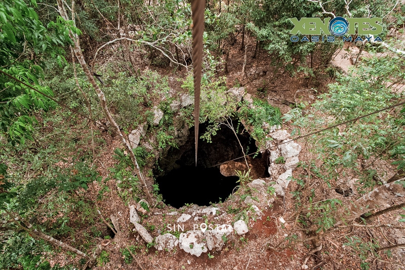 Xenotes-15