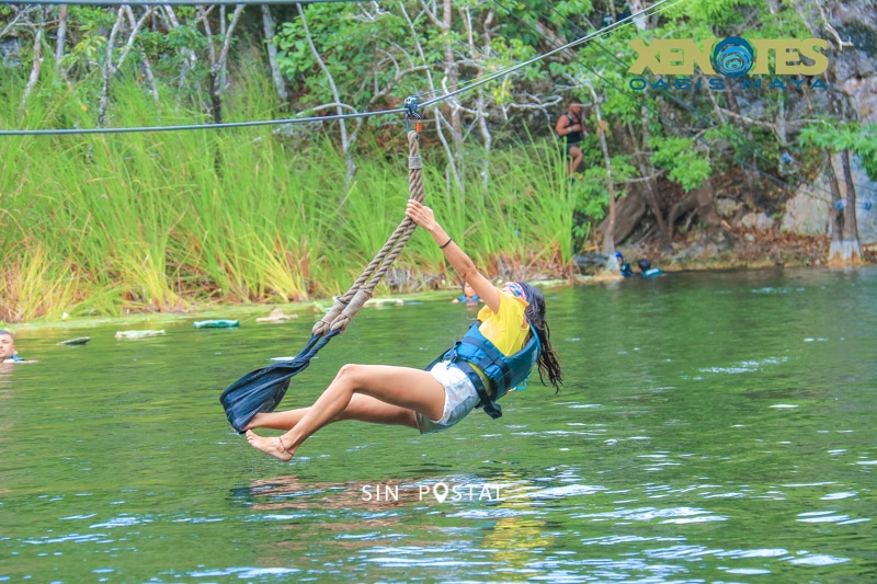 Xenotes-26