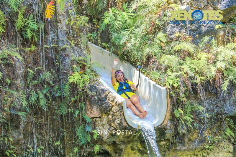 Xenotes-4