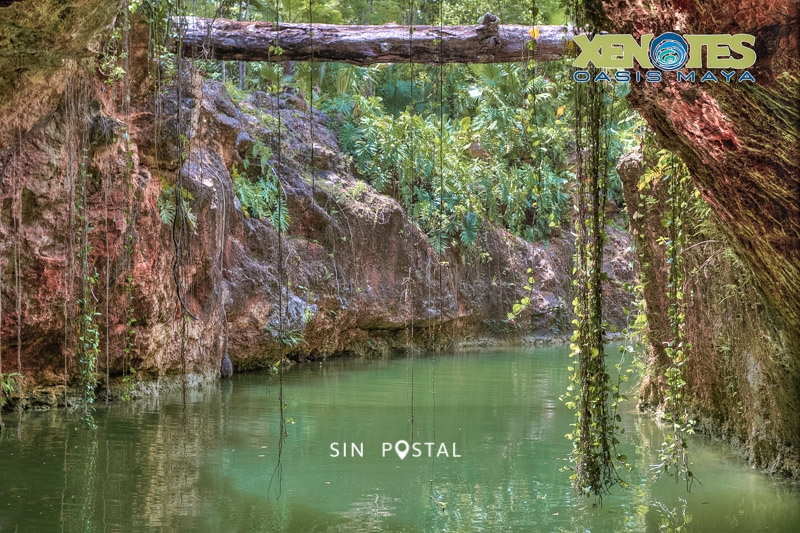 Xenotes-6