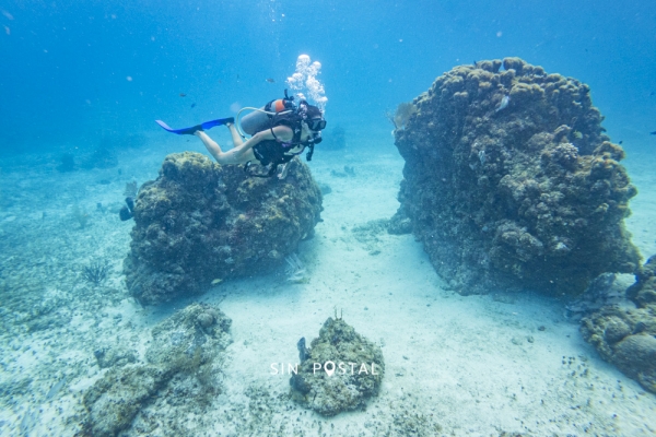 C:DCIM100GOPROGOPR5931.GPR