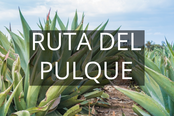 Ruta del Pulque