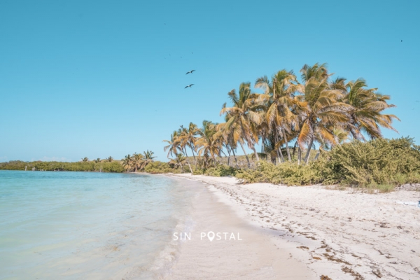 IslaContoy-18