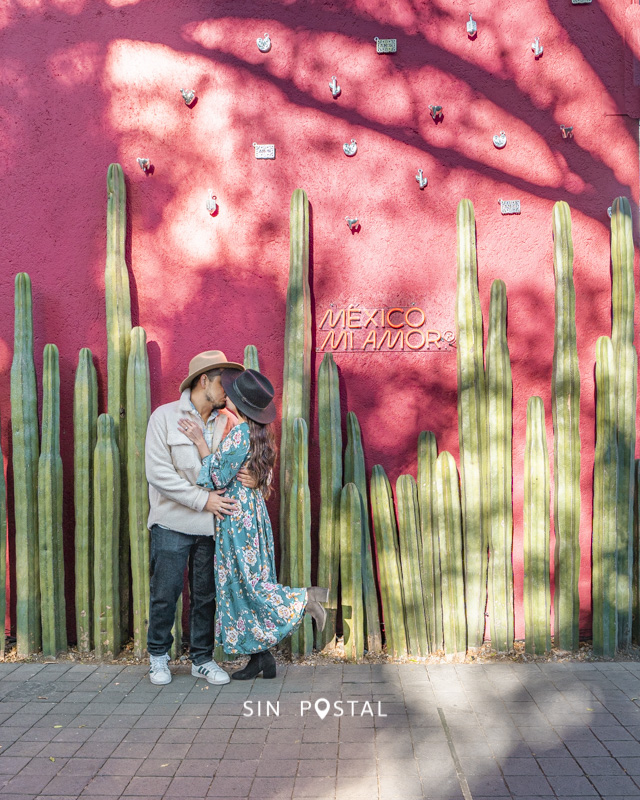 CDMX-SinPostal-11