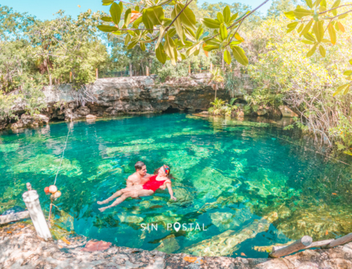 Cenotes en la Riviera Maya – Guía de Viaje