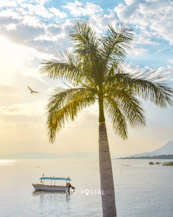 Chapala-SinPostal-10