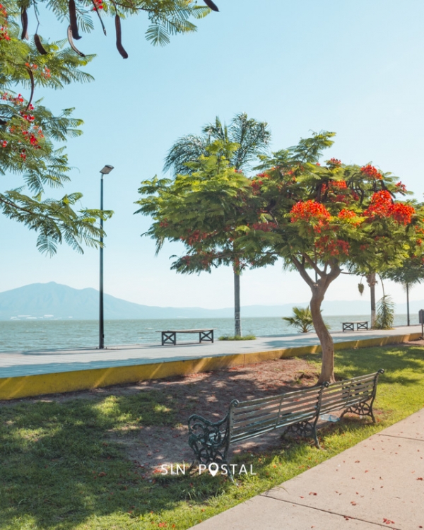 Chapala-SinPostal-14