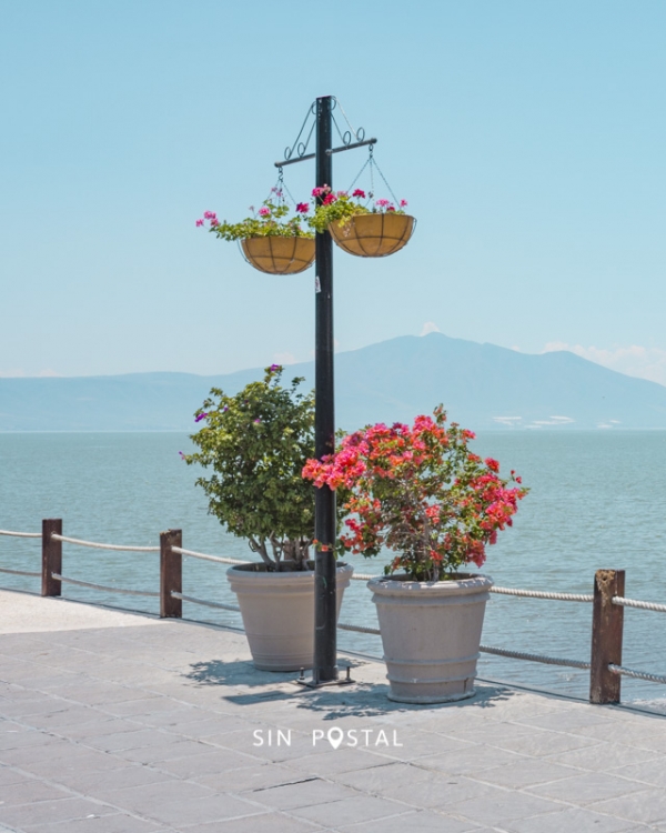 Chapala-SinPostal-4