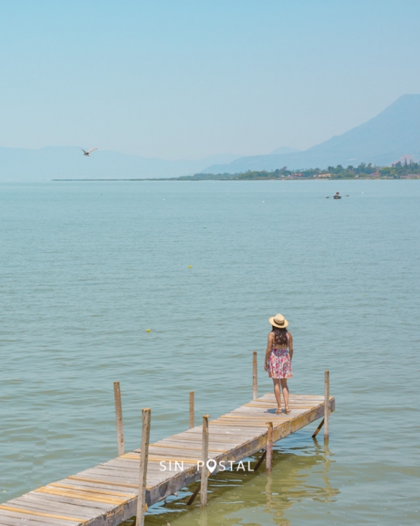 Chapala-SinPostal-7
