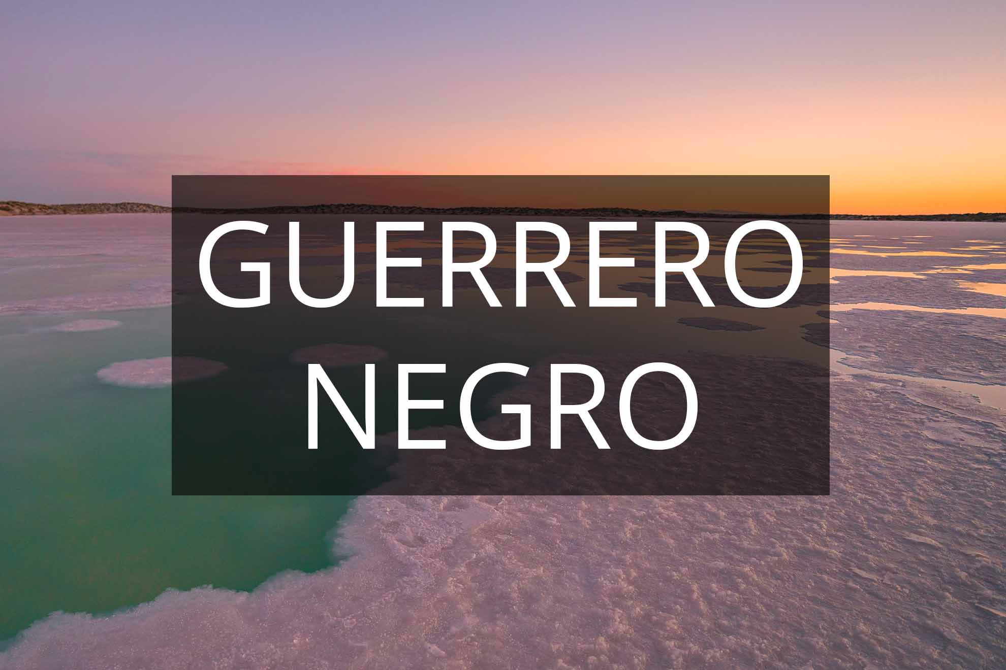 GUERRERO NEGRO BCS