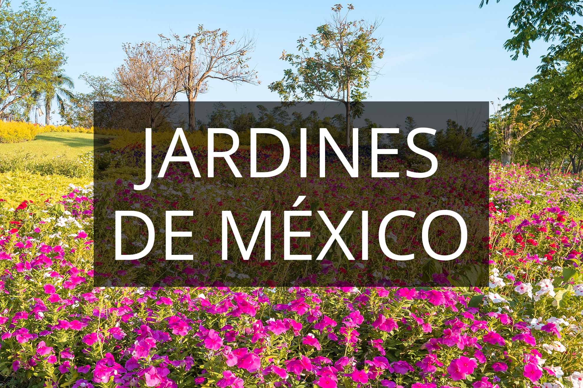 Jardines de México
