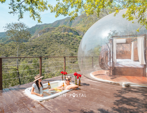 Hotel Burbuja en Monterrey – Guía de Viaje