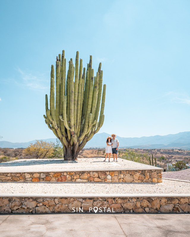 JardinesMexico-21