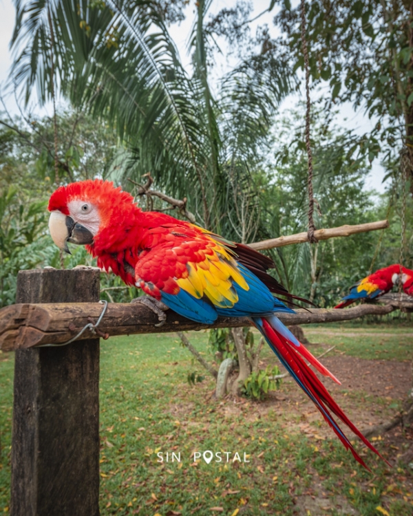 LasGuacamayas-SinPostal-21