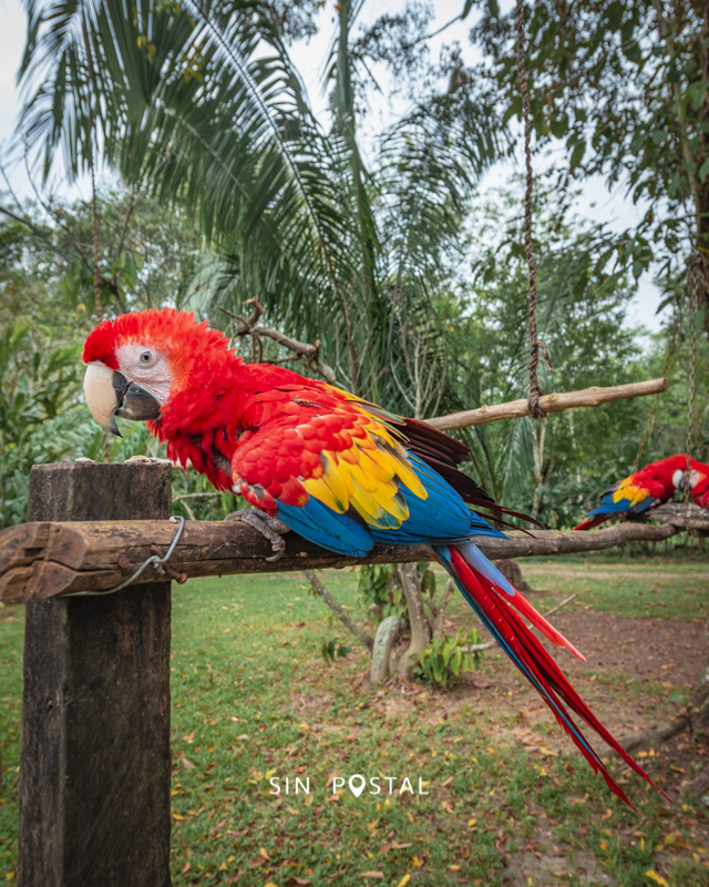 LasGuacamayas-SinPostal-21