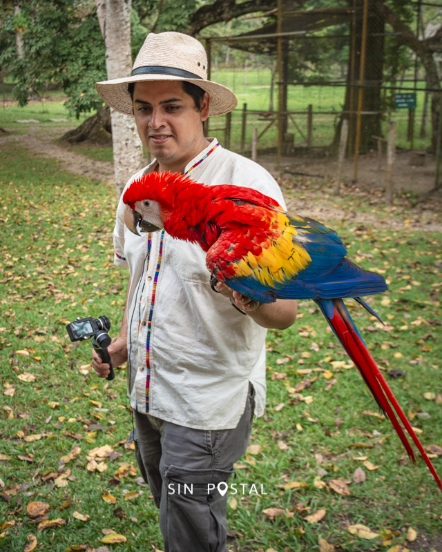 LasGuacamayas-SinPostal-23