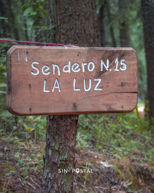 Luciernagas-SinPostal-12