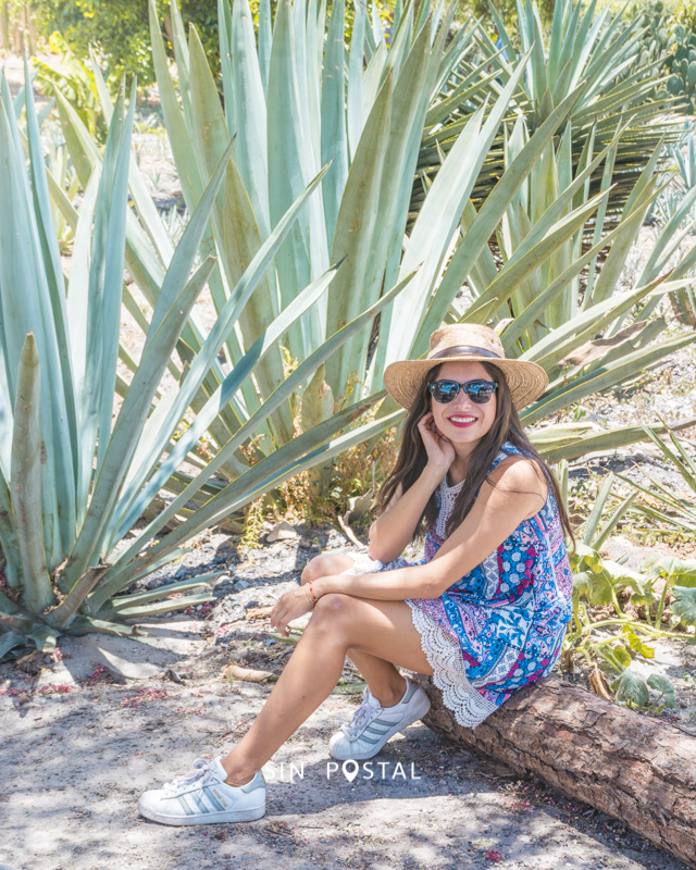 Mitla_SinPostal-20