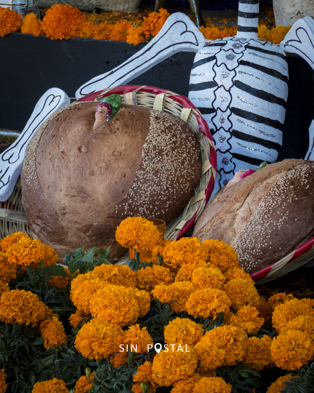 Muertos_SinPostal-37