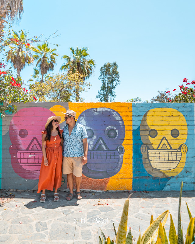TodosSantos-9